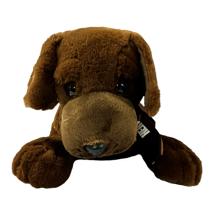 Hersheypark Floppy Dog Plush